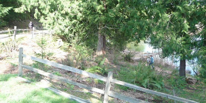 illahee park trail walking