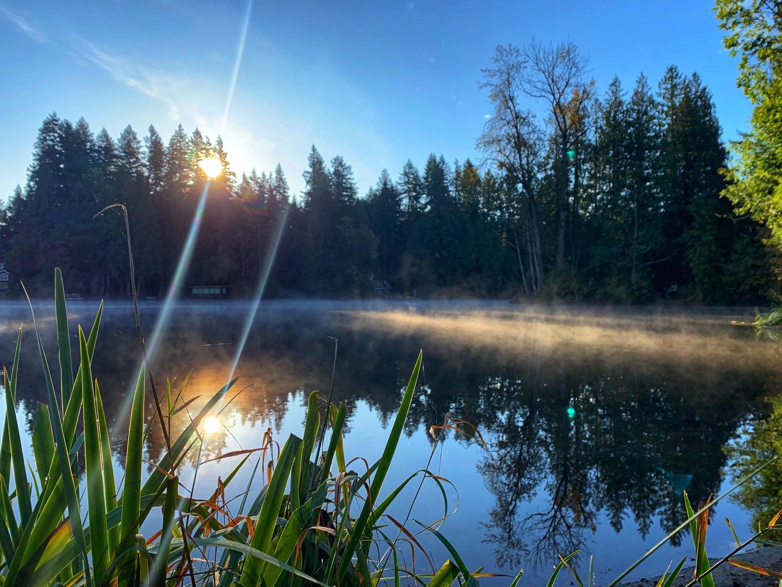 Beaver Lake in Sammamish with slight mist on the water and sun showing through the evergreen trees on the shore.