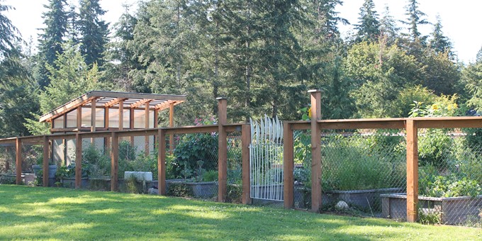 community garden plots behind a fenced area at sammamish commons