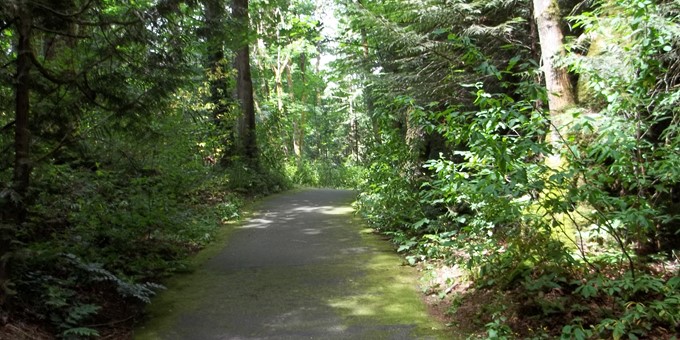 northeast sammamish park playground