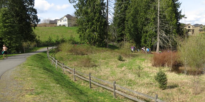 illahee park trail walking grass
