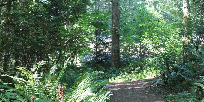 forested trail at big rock park north, a metal roof just visible through the trees